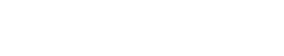 Bisonti Partners Logo
